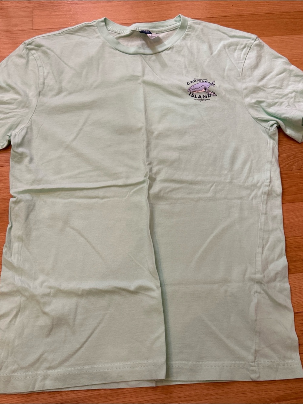 H&M Mint Green Short Sleeve Graphic Tee
